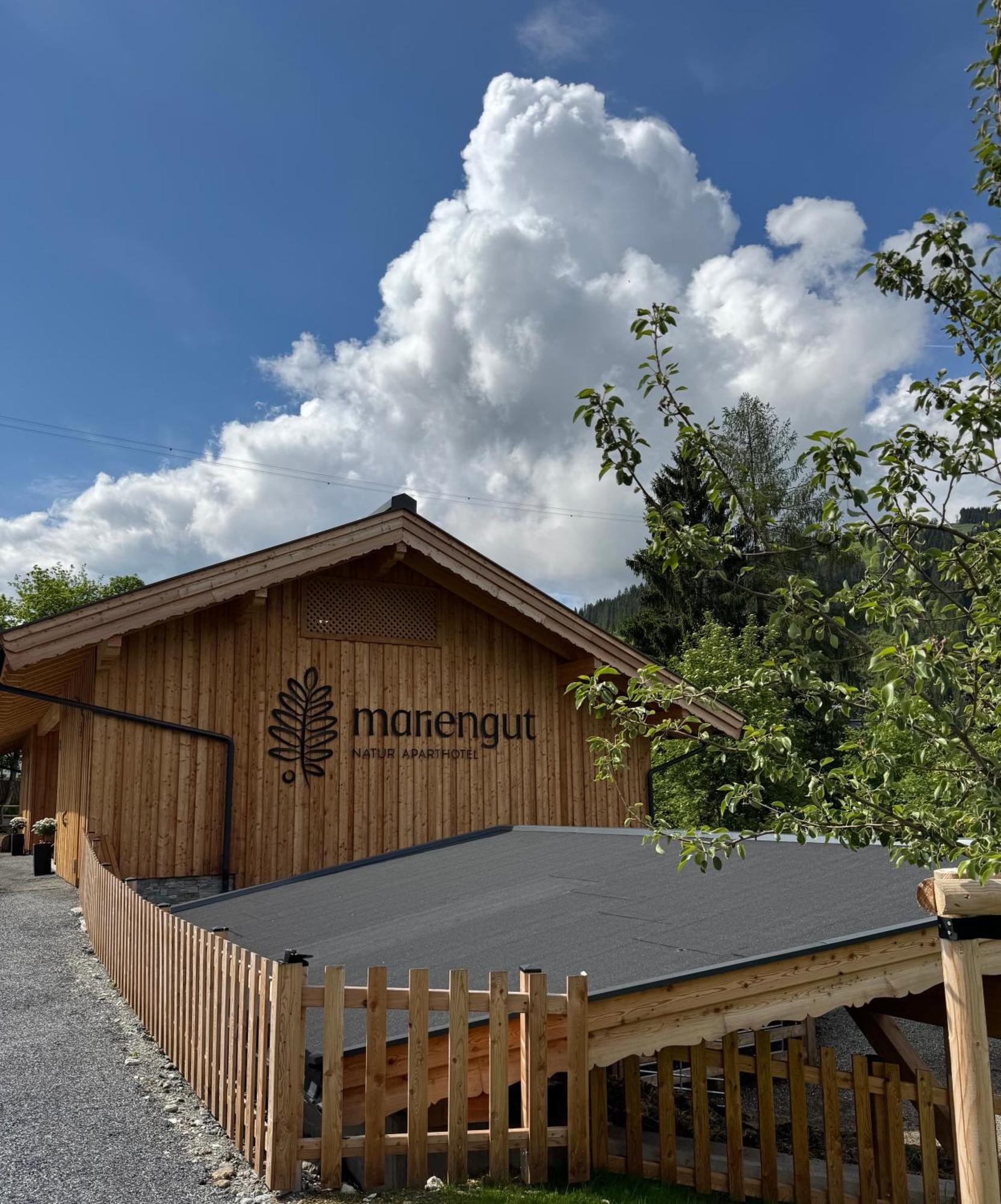 Mariengut - Natur Aparthotel Kramer Wagrain Eksteriør billede